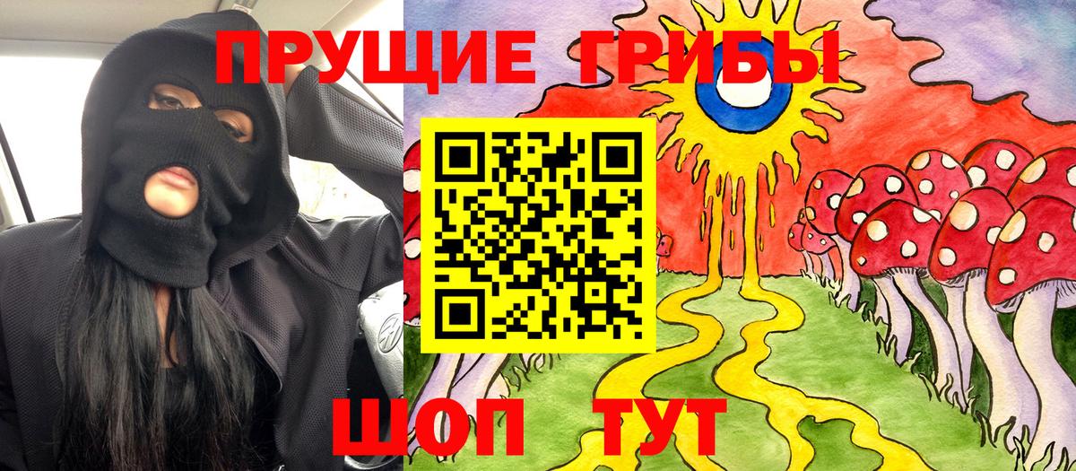 Галлюциногенные грибы Psilocybe Нефтеюганск